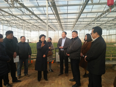 副市長常英敏赴淇縣調研 推動農產品質量安全與冬季農業生產